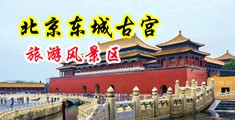 超骚大j插入视频中国北京-东城古宫旅游风景区